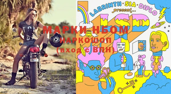 гидра Алзамай