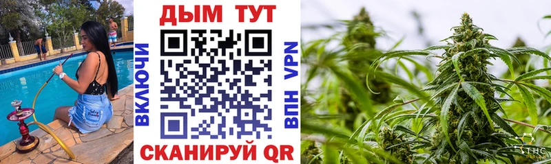 KRAKEN ССЫЛКА Жирновск Конопля White Widow